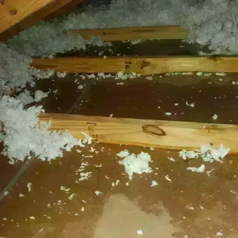 Attic Water Damage in Rose Hill, NC